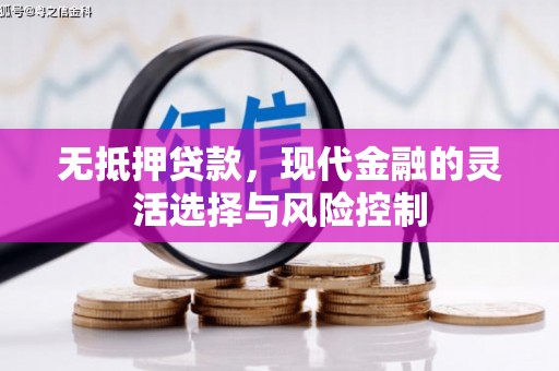 汝阳无抵押贷款，现代金融的灵活选择与风险控制