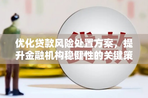 汝阳优化贷款风险处置方案，提升金融机构稳健性的关键策略