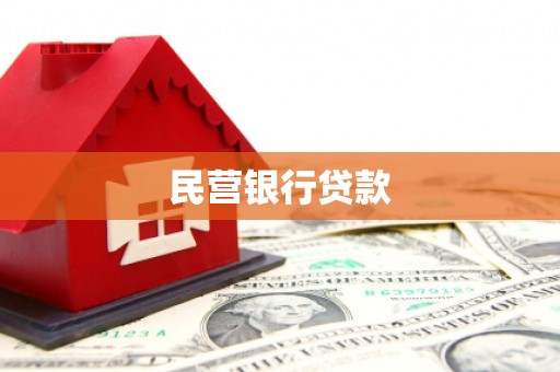 汝阳民营银行贷款