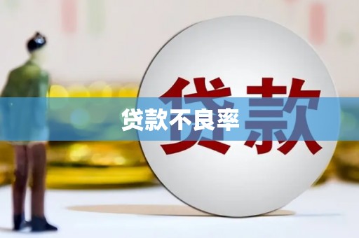 汝阳贷款不良率