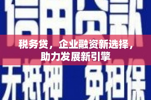 汝阳税务贷，企业融资新选择，助力发展新引擎