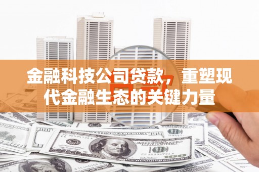 汝阳金融科技公司贷款，重塑现代金融生态的关键力量