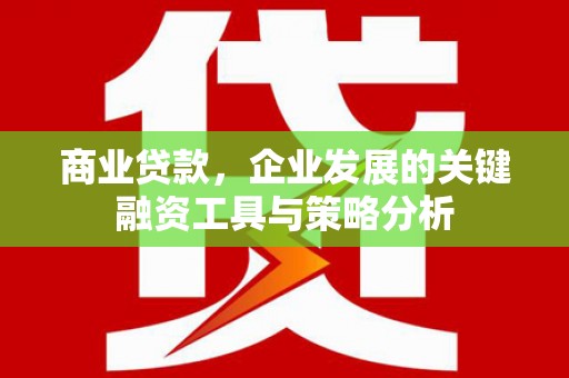 汝阳商业贷款，企业发展的关键融资工具与策略分析