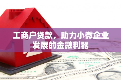 汝阳工商户贷款，助力小微企业发展的金融利器