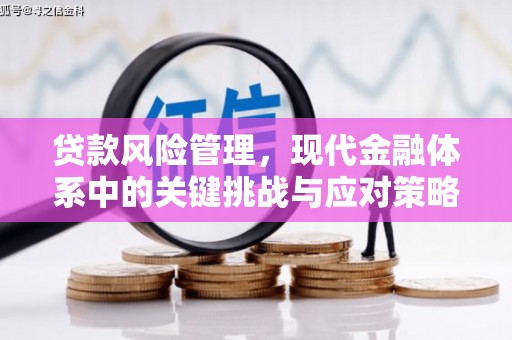汝阳贷款风险管理，现代金融体系中的关键挑战与应对策略
