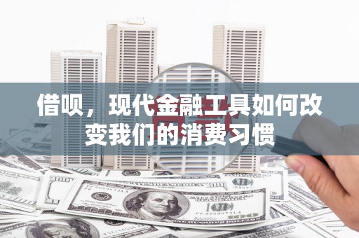 汝阳借呗，现代金融工具如何改变我们的消费习惯