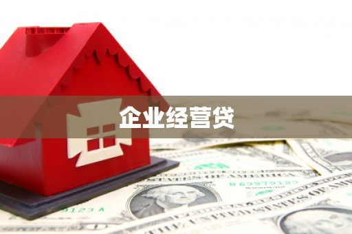 汝阳企业经营贷