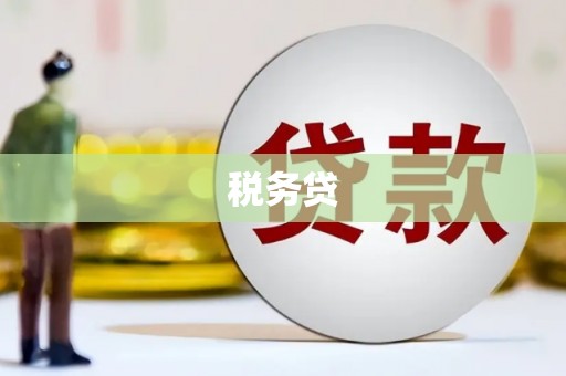 汝阳税务贷