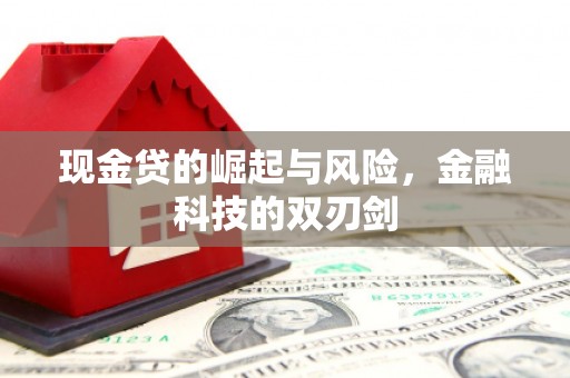 汝阳现金贷的崛起与风险，金融科技的双刃剑