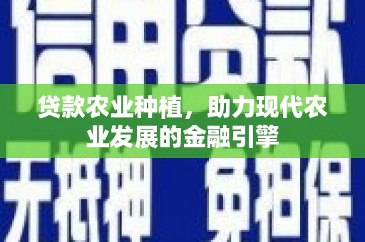 汝阳贷款农业种植，助力现代农业发展的金融引擎