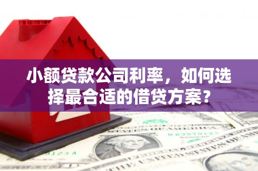 汝阳小额贷款公司利率，如何选择最合适的借贷方案？