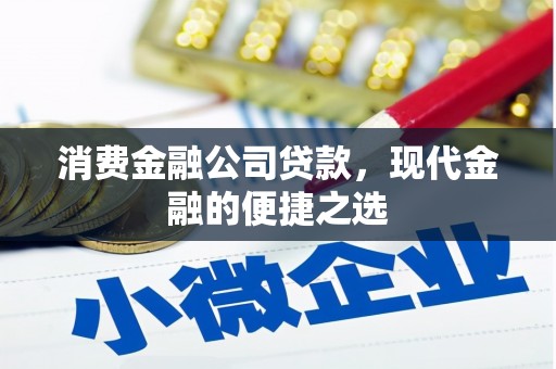 汝阳消费金融公司贷款，现代金融的便捷之选