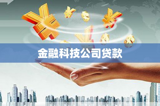 汝阳金融科技公司贷款