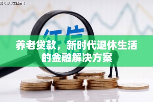 汝阳养老贷款，新时代退休生活的金融解决方案