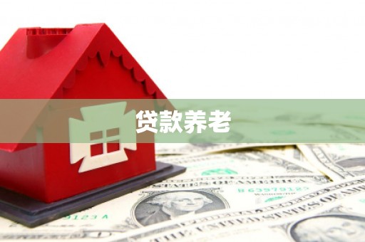 汝阳贷款养老