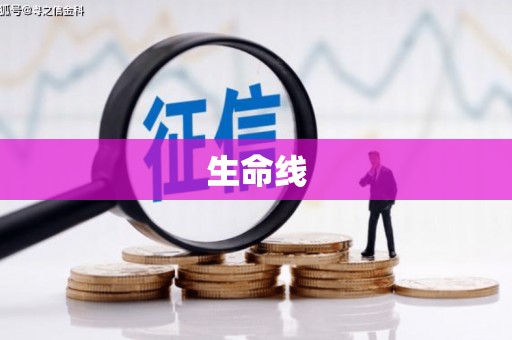 汝阳生命线