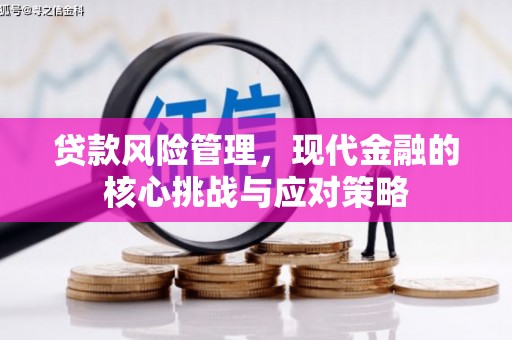 汝阳贷款风险管理，现代金融的核心挑战与应对策略
