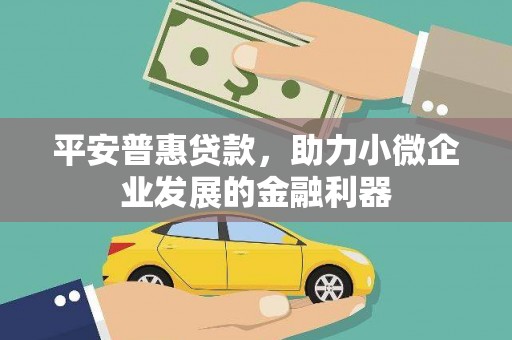 汝阳平安普惠贷款，助力小微企业发展的金融利器