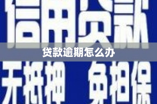 汝阳贷款逾期怎么办