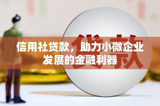 汝阳信用社贷款，助力小微企业发展的金融利器