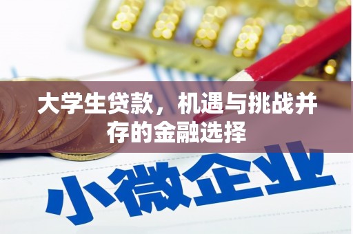 汝阳大学生贷款，机遇与挑战并存的金融选择