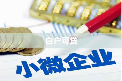 汝阳白户可贷