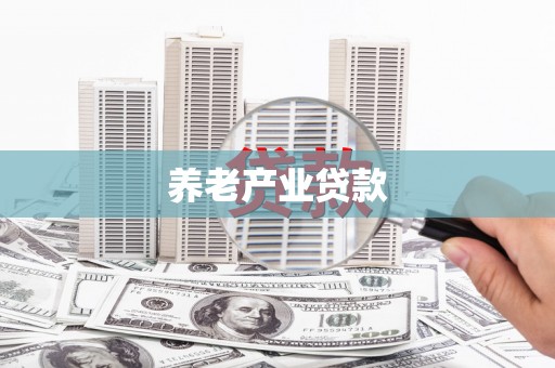 汝阳养老产业贷款