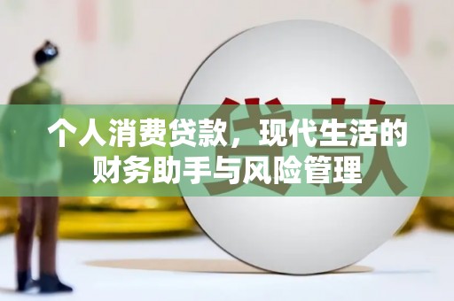 汝阳个人消费贷款，现代生活的财务助手与风险管理