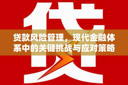 汝阳贷款风险管理，现代金融体系中的关键挑战与应对策略