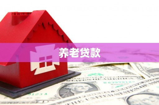 汝阳养老贷款