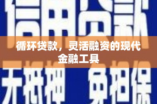 汝阳循环贷款，灵活融资的现代金融工具