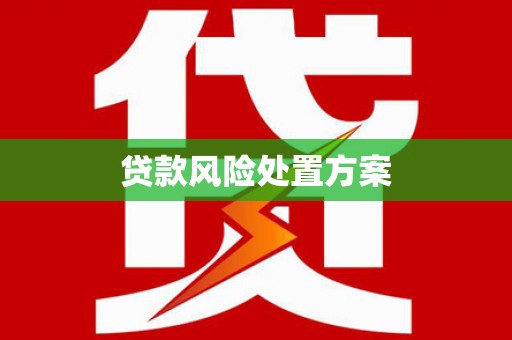 汝阳贷款风险处置方案