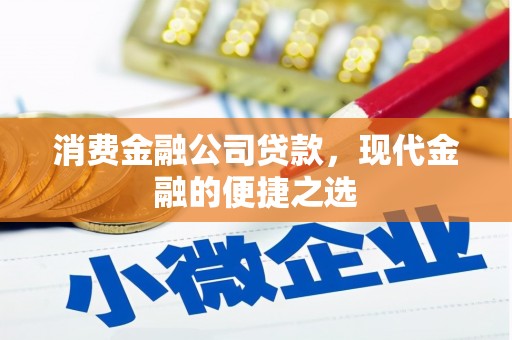 汝阳消费金融公司贷款，现代金融的便捷之选