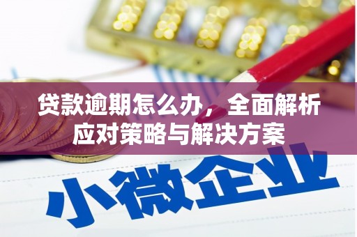 汝阳贷款逾期怎么办，全面解析应对策略与解决方案