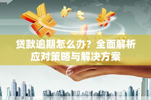 汝阳贷款逾期怎么办？全面解析应对策略与解决方案