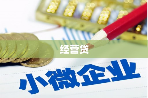 汝阳经营贷