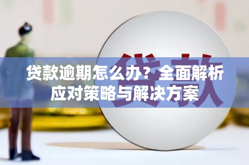 汝阳贷款逾期怎么办？全面解析应对策略与解决方案