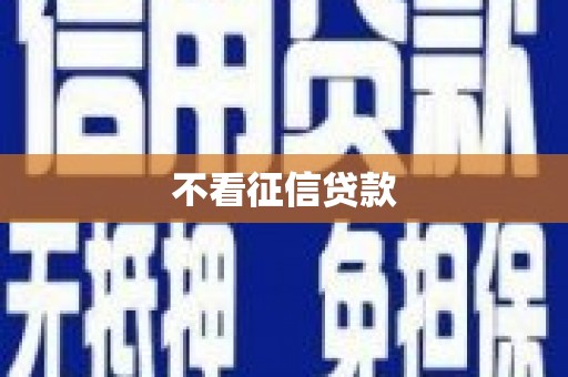 汝阳不看征信贷款