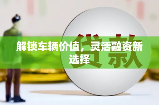 汝阳解锁车辆价值，灵活融资新选择