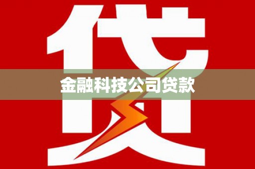 汝阳金融科技公司贷款