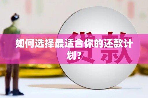 汝阳如何选择最适合你的还款计划？