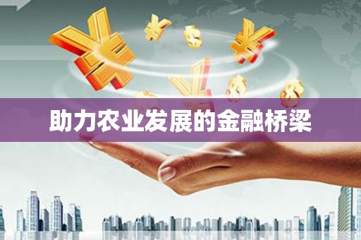 汝阳助力农业发展的金融桥梁