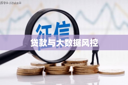 汝阳贷款与大数据风控
