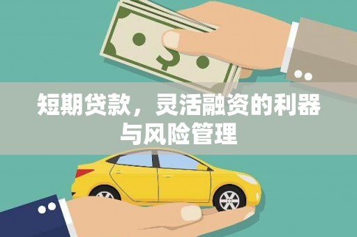 汝阳短期贷款，灵活融资的利器与风险管理