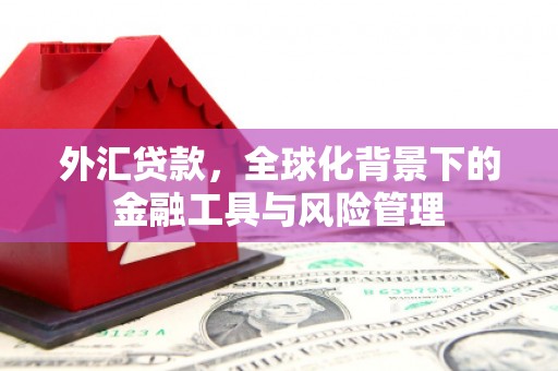 汝阳外汇贷款，全球化背景下的金融工具与风险管理