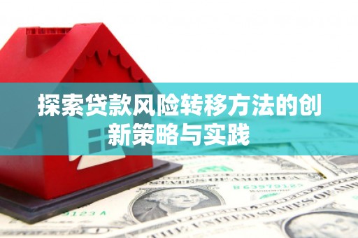 汝阳探索贷款风险转移方法的创新策略与实践