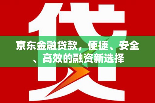 汝阳京东金融贷款，便捷、安全、高效的融资新选择
