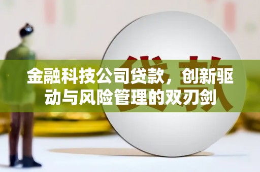 汝阳金融科技公司贷款，创新驱动与风险管理的双刃剑