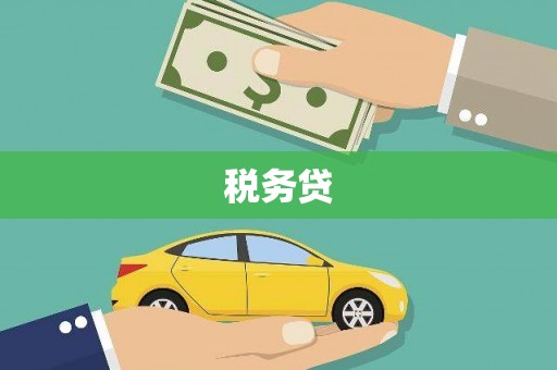 汝阳税务贷