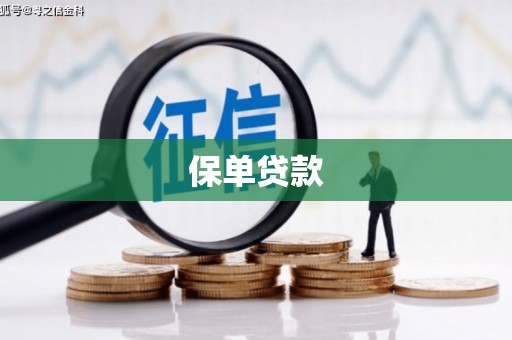 汝阳保单贷款 汝阳保单贷款
